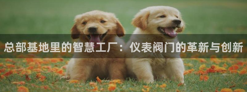 上海云顶国际会所有什么服务