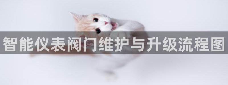 云顶国际app下载安卓