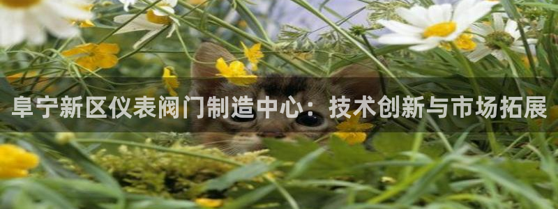 云顶国际取款多久到账啊