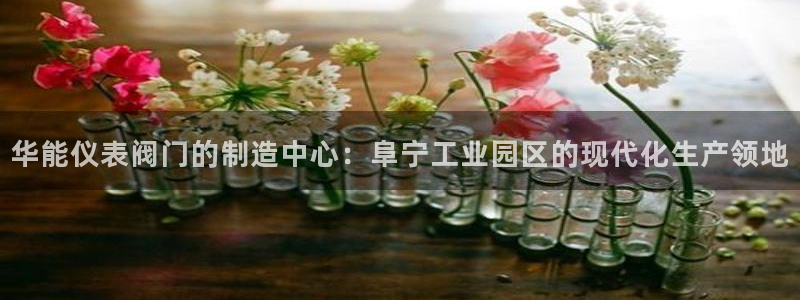 云顶国际大酒店位于