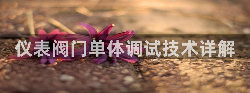 云顶国际游戏平台app